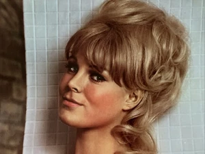 SUSAN DENBERG, Miss August, 1966, Vintage Centerfold only, Adult Content - Picture 1 of 1