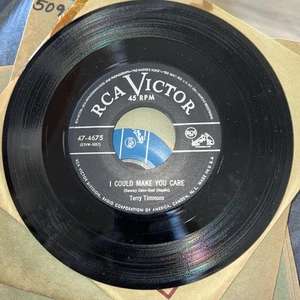 Terry Timmons I Could Make You Care/My Low Love VG+/EX - Picture 1 of 2