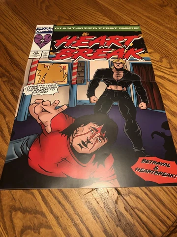 11x17 Shawn Michaels Marty Jannetty Rockers Wrestling Comic Style Poster Cover