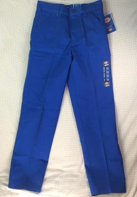 Брюки Dickies для мальчика размер 18 30x31 синие саржевые рабочие брюки для плотника универсальные малярные - Изображение 1 из 4