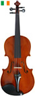 IE Violin 4/4 M-tunes No.250 wood - Luthier workshop