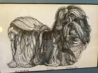 1986 Shih Tzu Dog Print Art Drawing Sketch Signed G Marlo Allen Framed Dog