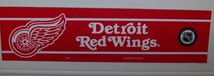 Detroit Red Wings NHL Magnet - Bild 1 von 1