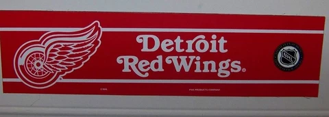 Detroit Red Wings NHL Magnet Cover