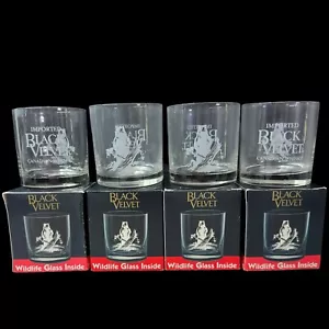 Lot Of 4 Black Velvet Wildlife Whiskey Glasses In Box W/ Etched Bears On It - Picture 1 of 16