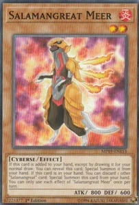 YUGIOH CARD 1 X SALAMANGREAT MEER MP19-EN153 1ST EDITION - Picture 1 of 1
