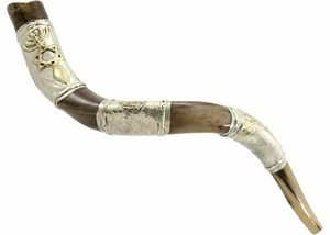 Shofar kosher yemenita plateado 86,4 cm - 91,4 cm decoración del hogar de Israel - Imagen 1 de 7