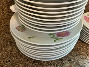 Vintage 44 Teile Richard Ginori Rosa Grün Floral Porzellan 8 Speiseteller - Bild 1 von 7