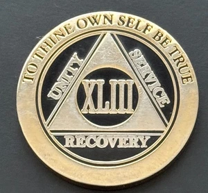 Alcoholics Anonymous AA 43 Years Recovery Token Coin Chip - Picture 1 of 2