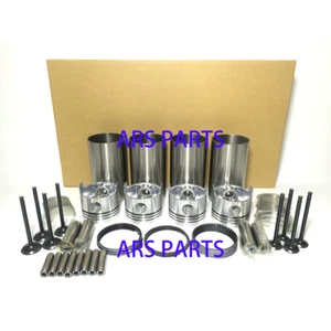 D4BA Overhaul Rebuild Kit For Hyundai H100 Engine Piston Ring Cylinder Line - Imagen 1 de 1
