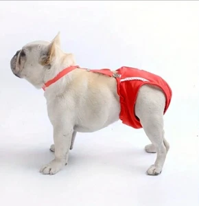 Small Pet Dog Tighten Strap Reusable Washable Pantie for Small Girl Female Dog - Picture 1 of 7