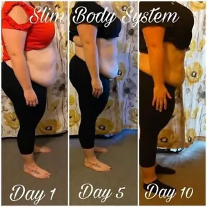 Weight Loss Slim Body System  10 Days Trial Loose Weight - Picture 1 of 4