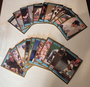 NOLAN RYAN KARTEN LOT (1992 DONRUSS LEAF COCA-COLA)........22 verschiedene Karten /26 - Bild 1 von 2
