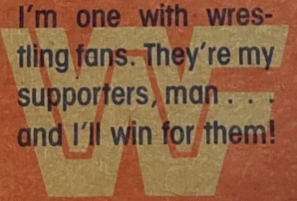 1985 Topps WWF Wrestling Singles and Stickers - Finish Your Set! - Image 1 of 1