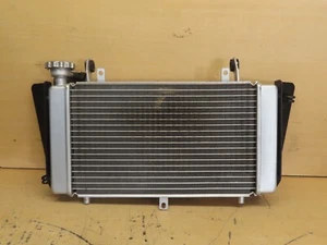 2023 Benelli TRK 502 E5 2994 Miles - Radiator - Picture 1 of 8