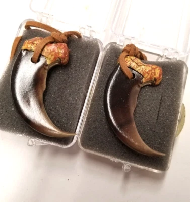 LOT 2 PVC Bear Claw for Strength/Stamina Healing/Dreaming Leather Cord Necklace - Image 1 of 4