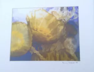 Eric Reese Photography Jellyfish 2007 signed fine print Whitefish MT 7.5" x 9.5" - Picture 1 of 5