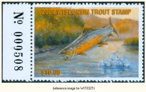 D2K Wisconsin Forellenstempel 2009 $ 10,00 mit Tab - Bild 1 von 1