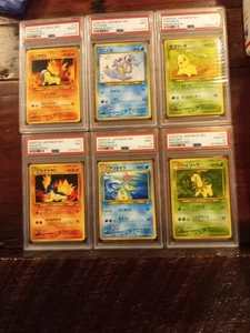 Juego de 6 losas PSA Pokemon Premium File 2000 Japón Cyndaquil Totodile Chikorita - Imagen 1 de 7
