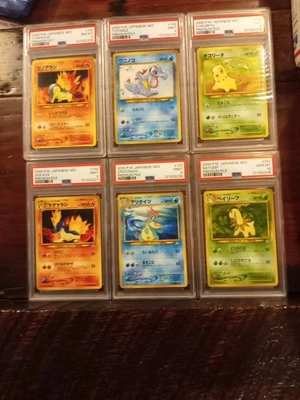 Set Of 6 PSA Slabs Pokemon Premium File 2000 Japan Cyndaquil Totodile Chikorita - Image 1 of 4