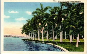 Stately Royal Palms, Florida 1934 Linen Postcard - Picture 1 of 2