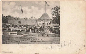 GOSHEN NY ORANGE COUNTY HORSE SHOW 1905 VINTAGE ARTINO UDB POSTCARD 060524 T - Picture 1 of 2