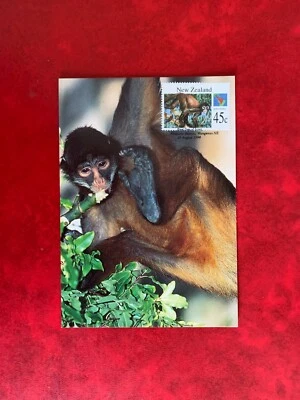 NEW ZEALAND 1994 MAXI CARD ANIMALS SPIDER MONKEY  - Image 1 of 2