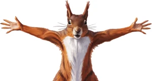 Aufkleber Eichhörnchen gestreckte Arme Autoaufkleber Sticker Konturschnitt - Bild 1 von 2