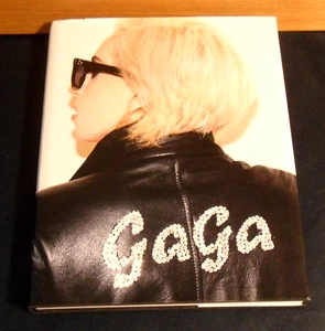 LADY GAGA by TERRY RICHARDSON - 2011 1st Ed. HC/DJ Huge Photo Book - Imagen 1 de 7