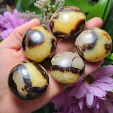 Septarian Palm Stone Palm Pocket Stone Healing Crystal Mineral Rocks Collection