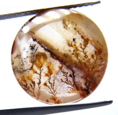 ip16 Dendrite Quartz 7.62ct 14x5mm round picture stone garden branches - Image 1 of 4