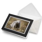 Greetings Card (Black) - Cute Young Mink Baby Arctic Birthday Gift #16307