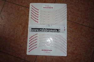 Adesivo Cerchio Barracuda colore come da foto - Imagen 1 de 1