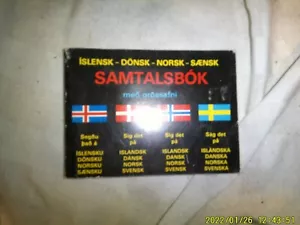 VINTAGE TRANSLATE PAPERBACK BOOK SAMTALSBOK - Foto 1 di 3
