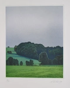 Rudolph Distler/día de lluvia de verano/grabado en color/firmado a mano/90 ejemplares/1992 - Imagen 1 de 3