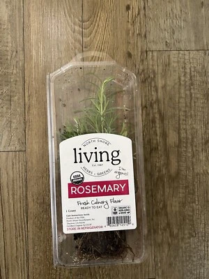 Rosemary Plant With Box Live Plant Ready To Eat Or To Plant - Image 1 of 4