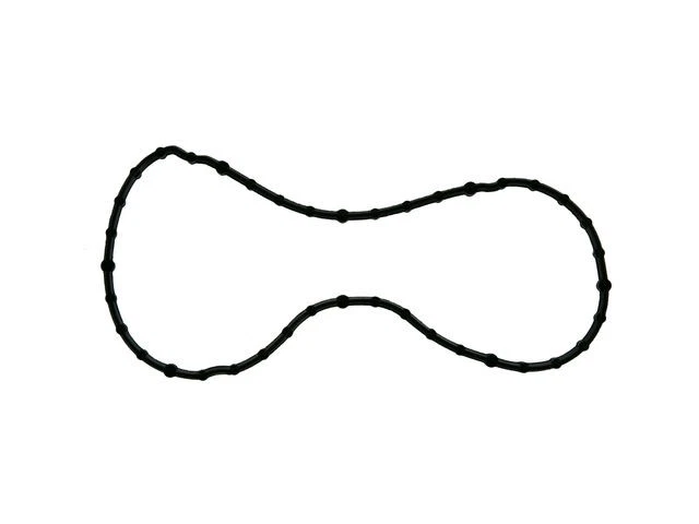 Junta tórica termostato para Ford F250 Super Duty 2008-2010 6,4 L V8 2009 DV793YG Foto 1 de 1