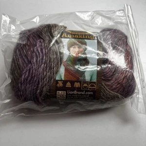Lion Brand Amazing Yarn VIOLETS Skein Discontinued Rare Yarn Purple Pink Wool - Picture 1 of 9