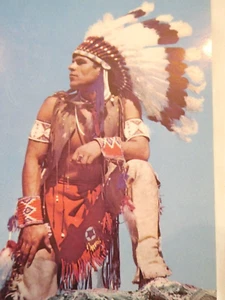 VINTAGE NATIVE AMERICAN COLOR POSTCARD - UNUSED, EXCELLENT!! - Picture 1 of 4