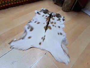 Goat Leather, Mottled Skin, Home Decor, Genuine Leather, Wall Art, 1.3 x 2.2 ft - Picture 1 of 17