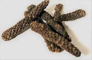 Ayurveda de pimienta larga entera orgánica fresca (pimienta larga india larga) orgánica fresca - Imagen 1 de 2