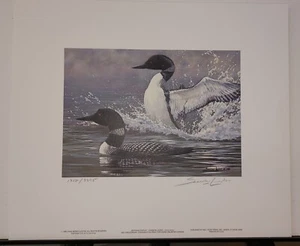 John Seerey-Lester Morning Display Common Loons 1988 Ducks Unlimited Canada S/N - Picture 1 of 4