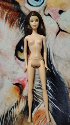 Twilight Barbie Collector Bella Doll no clothes  - Image 1 of 3