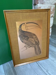 Vintage/MidCentury ~ Toucan/Bird ~ Copper Etching By Carole J Dronsfield Picture - Picture 1 of 5