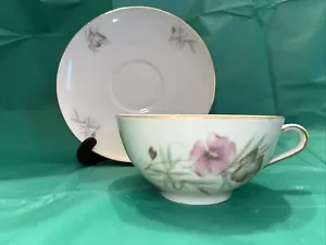 Cup & Saucer Set * Gebruder Winterling Roslau * Bavaria - Picture 1 of 5
