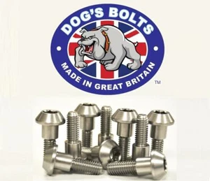 Yamaha FZ6 Fazer / Fazer S2 07> Stainless Steel Front Brake Disc Bolt Kit - Picture 1 of 1
