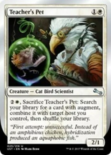 MTG-4x-Near Mint, English-Teacher's Pet-Unstable - Image 1 of 1