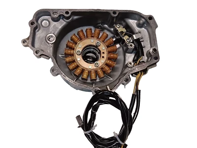 03-07 Kawasaki EX250R Ninja OEM Estator Generador y Cubierta y Pickup 21003-1154 Foto 1 de 4