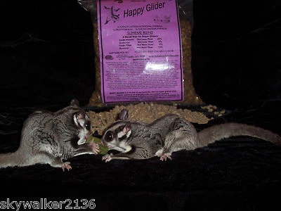 HAPPY GLIDER Sugar Glider food SUPREME BLEND 2lb bag