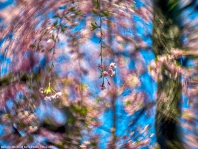 Benoist Berthiot Projection lens 95mm + GFX adapter fo Fuji 50S,100s Fujifilm GF - Image 1 of 4